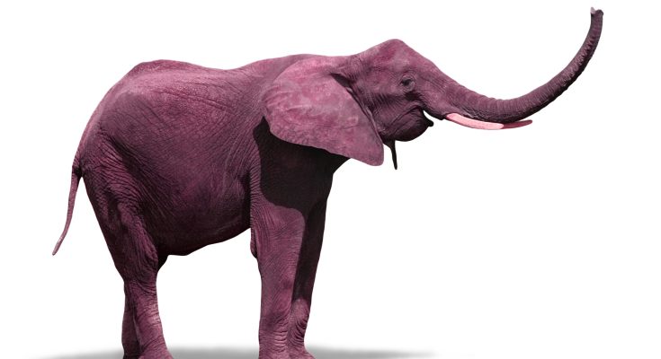 Elefante rosa